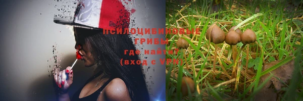 индика Заволжье