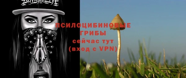 индика Заволжье