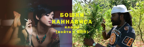 индика Заволжье
