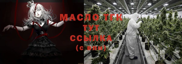индика Заволжье
