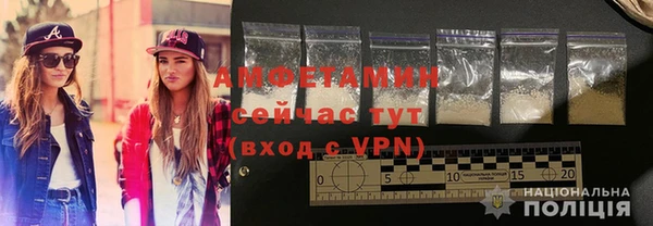 индика Заволжье